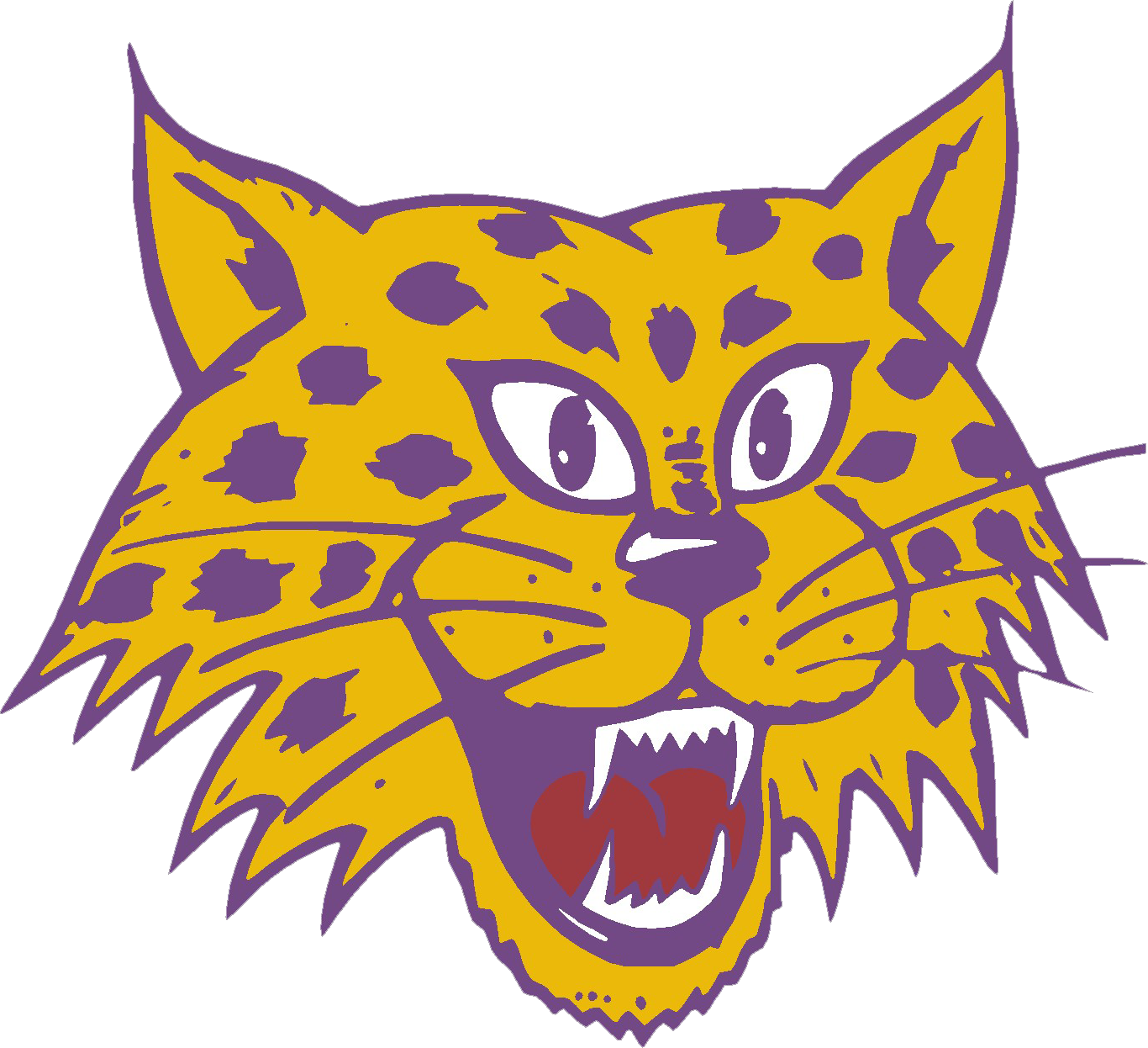 Western Carolina Catamounts 1975-1981 Primary Logo iron on transfers for T-shirts